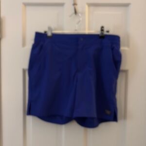 L.L. Bean Blue Athletic Shorts Vibrant Design